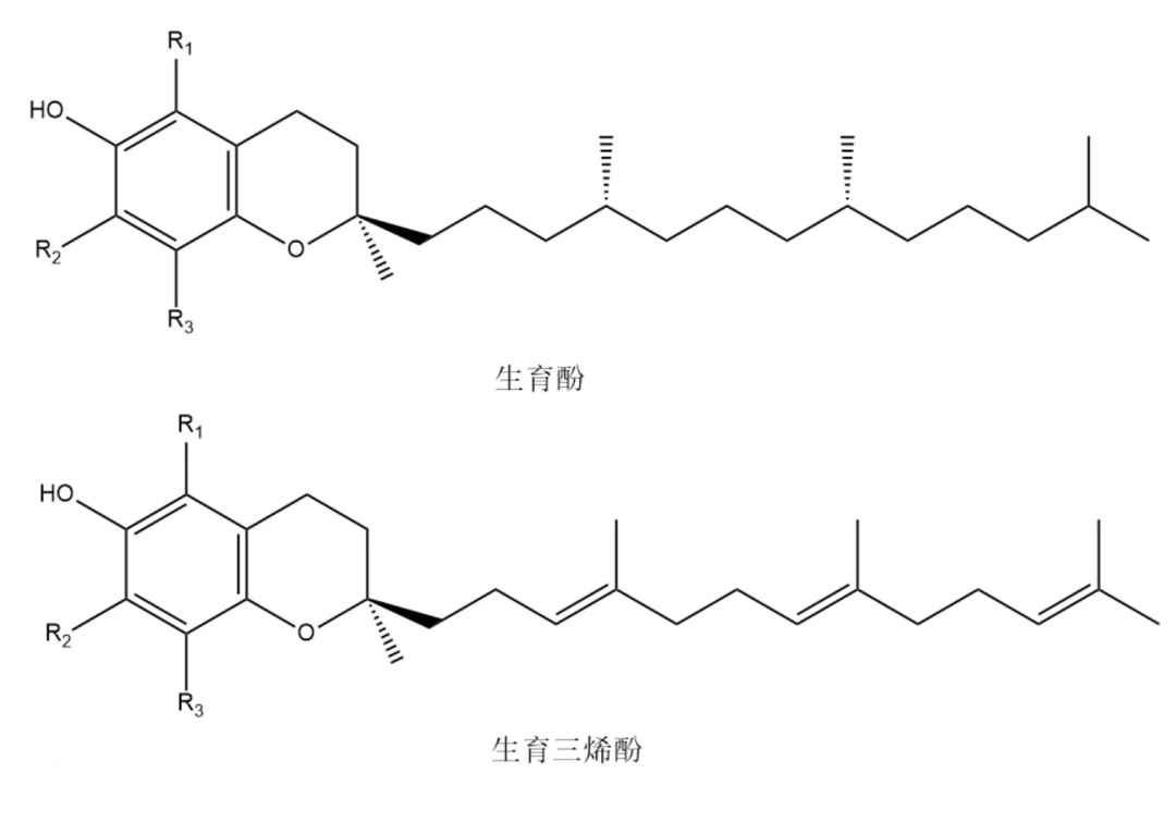 养生之道离不开维生素E