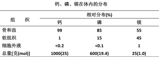 钙、磷、镁三剑客，骨代谢的关键因素