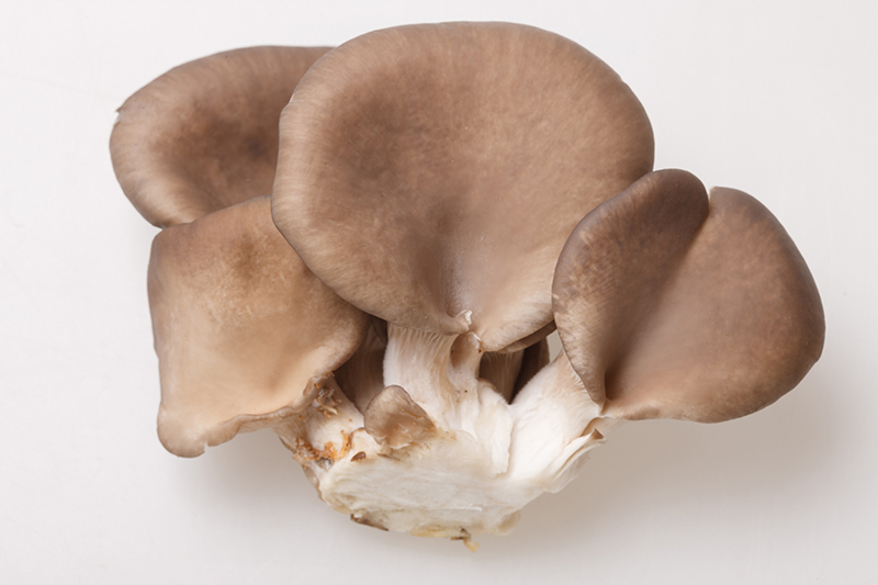 注意肿瘤患者的这6个常见饮食误区