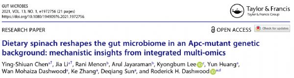 Gut Microbes: 注意！多吃菠菜可以重塑肠道微生物群进而预防癌症