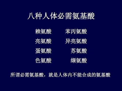 七大营养素——蛋白质