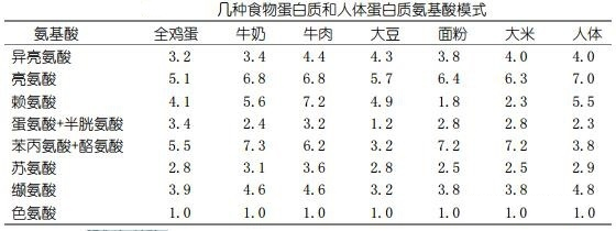七大营养素——蛋白质