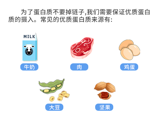 七大营养素——蛋白质