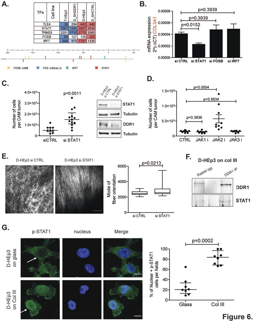 Nature Cancer：重磅发现！Nature子刊连发两文：癌细胞“休眠”数年不死 或是导致癌症转移/复发的关键因素