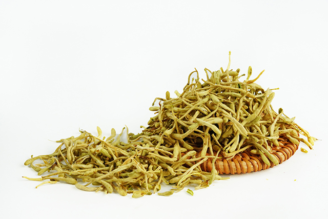 金银花可清凉降火 入茶煮粥皆有奇效