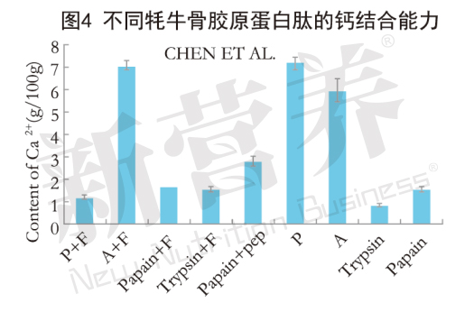 满足你对骨骼健康“所有想象”的创新原料来了——牦牛骨胶原蛋白肽