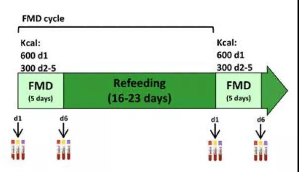 Cancer Discovery：大规模临床试验证实：短期禁食是安全的，能增强抗肿瘤免疫力
