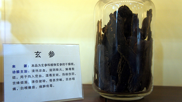 玄参不能和什么一起吃？