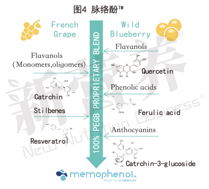 最强大脑：脉洛酚™
