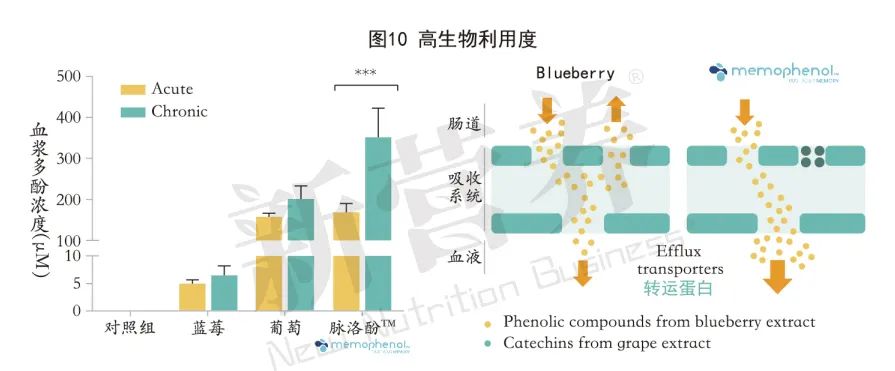 最强大脑：脉洛酚™
