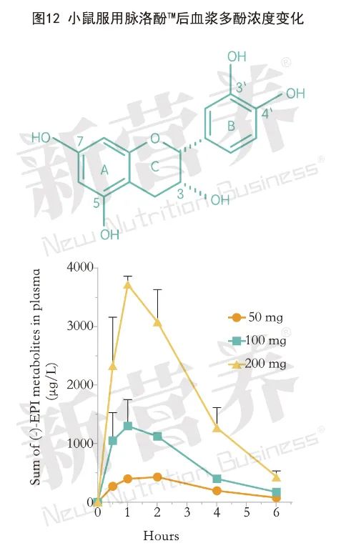 最强大脑：脉洛酚™