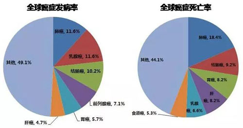 硒: 为肿瘤患者 提供营养修复