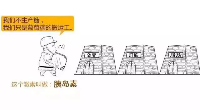 硒知识科普：补硒预防糖尿病并发症吗？