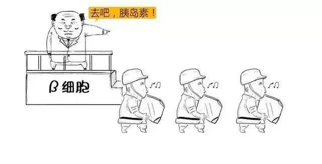 硒知识科普：补硒预防糖尿病并发症吗？