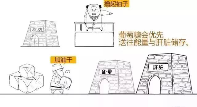 硒知识科普：补硒预防糖尿病并发症吗？
