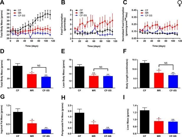 新研究：饮食中添加硒元素，能减肥、抗衰老并能通过控制能量调节延长寿命