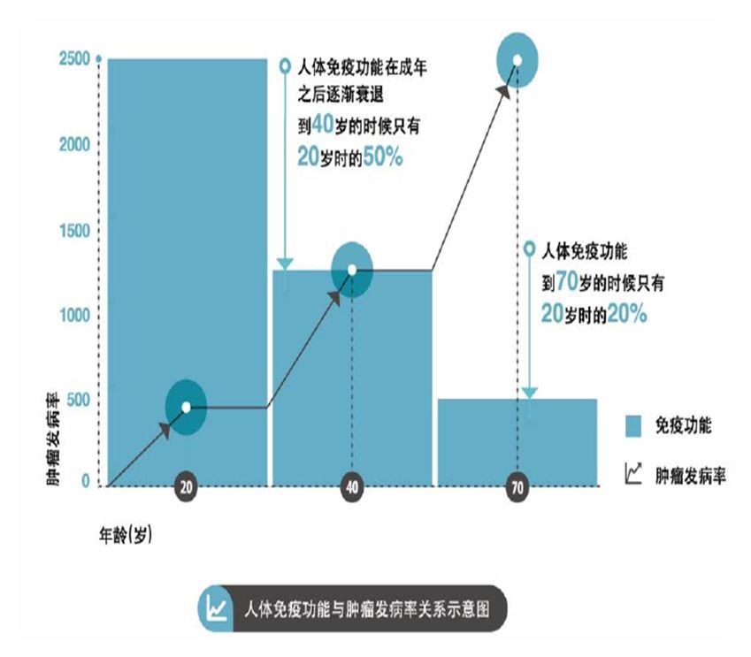 免疫力才是对抗癌症的利器！
