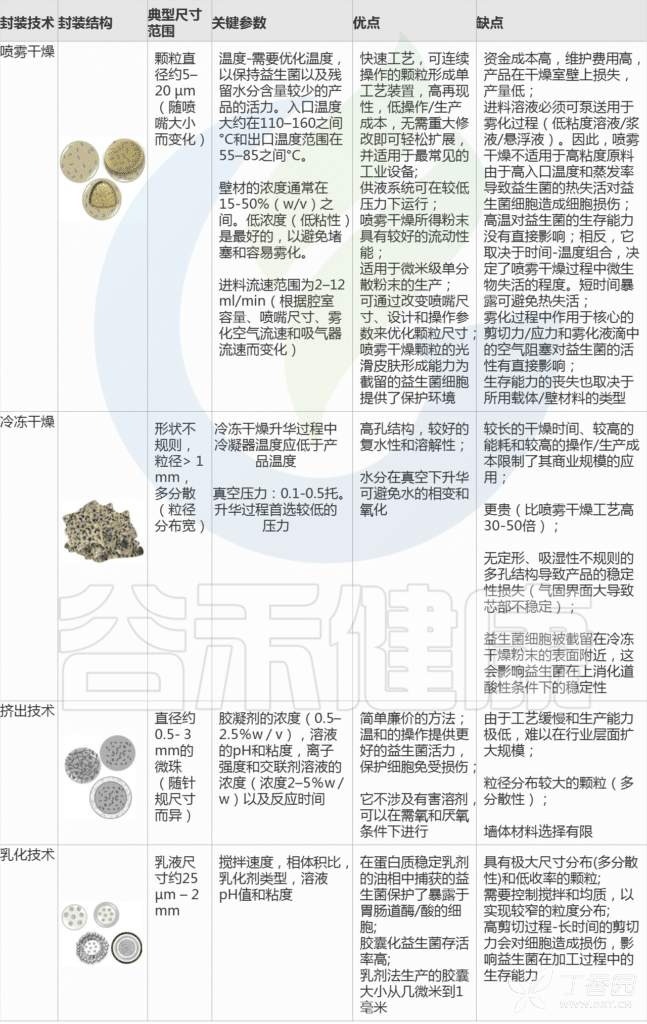 益生菌如何更好的发挥作用