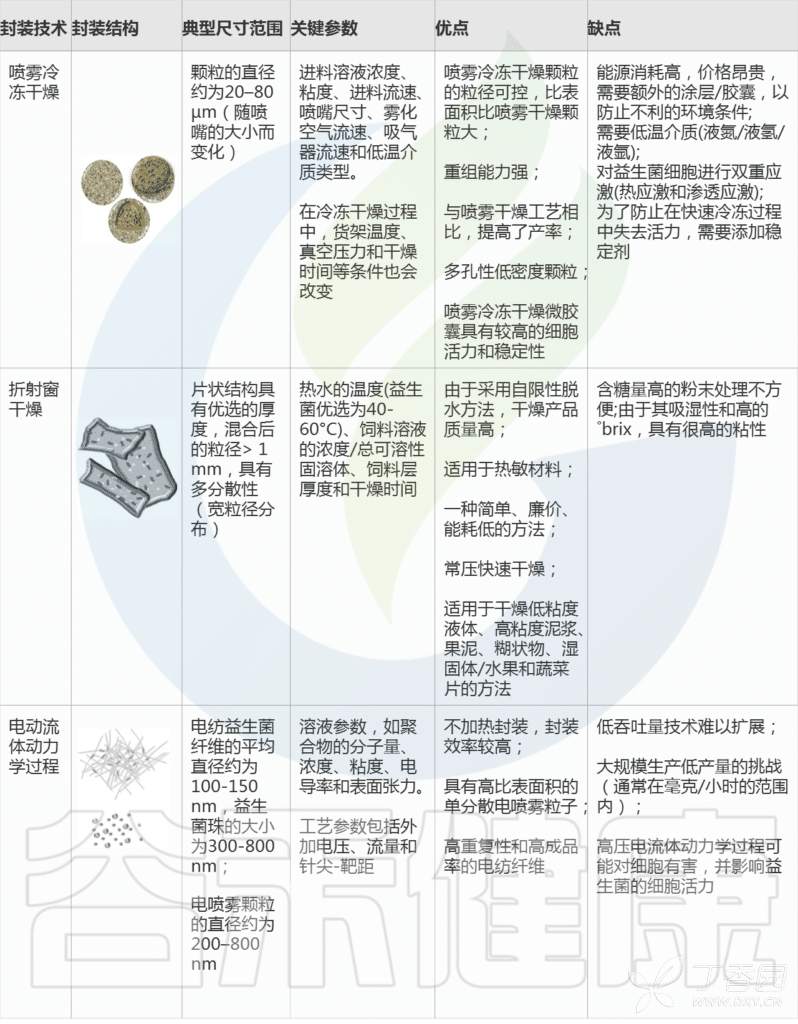 益生菌如何更好的发挥作用