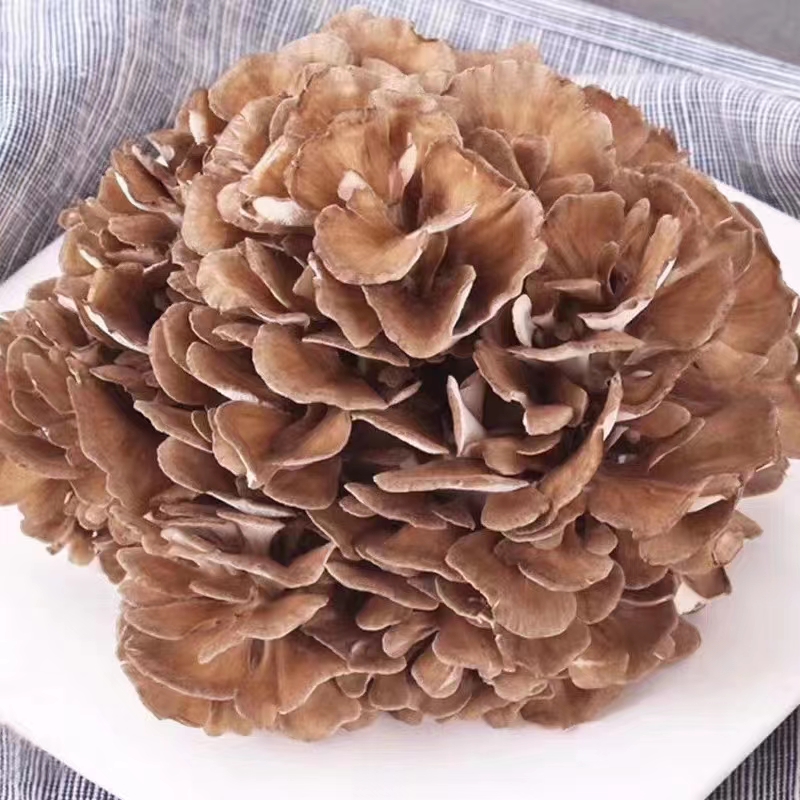 灰树花多糖的保肝作用