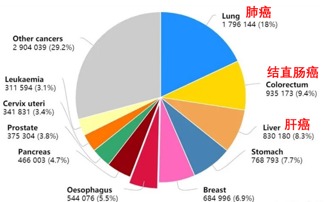 维生素K2能够延缓和/或预防肝癌复发