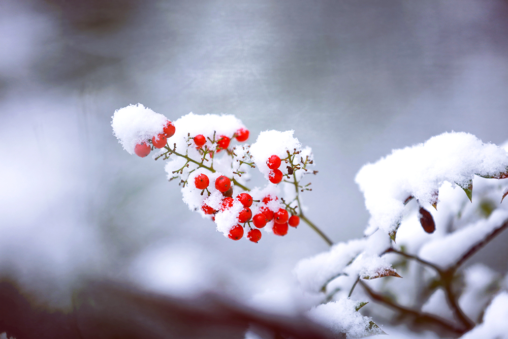 小雪养生|小雪到临，癌症患者快将这份养生提醒收好！